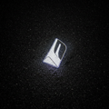 Lexus L Logo LED Puddle Light — Wet Asphalt Top-Down Projection