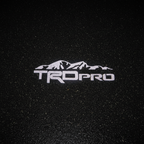 TRD Pro Silver Top-Down Puddle Light on Wet Asphalt
